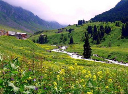 turkiye/trabzon/trabzon-merkez/nazar-otel-trabzon-285482653.jpg