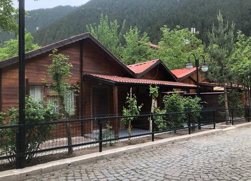 turkiye/trabzon/trabzon/serah-bungawilla_976499e6.jpg