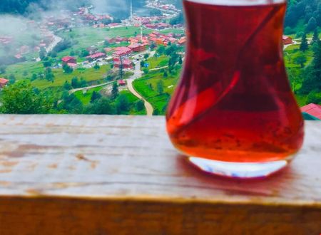 turkiye/trabzon/uzungol/somine-cafe-motel_73075a1e.jpeg