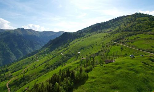 turkiye/trabzon/yomra/camliyurt-dag-evi_80aea321.jpg