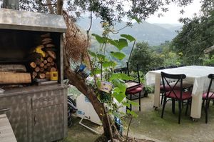 turkiye/trabzon/yomra/farm-life_61167e64.jpg