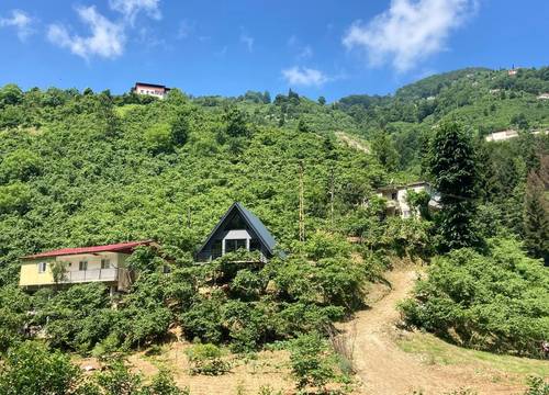 turkiye/trabzon/yomra/photo_5996738372556669119_y2961d439d0ff4d30ae73c5a3c7fd2a29.jpg