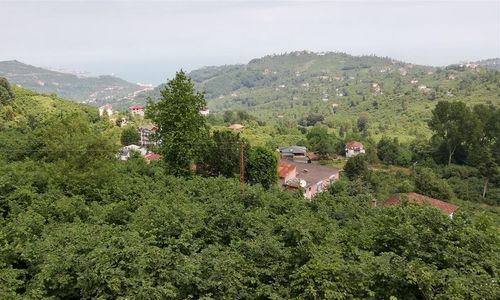 turkiye/trabzon/yomra/villa-irem-zeynep-13637100.jpg