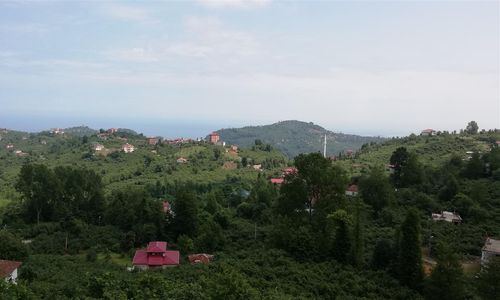 turkiye/trabzon/yomra/villa-irem-zeynep-324e7b71.jpg