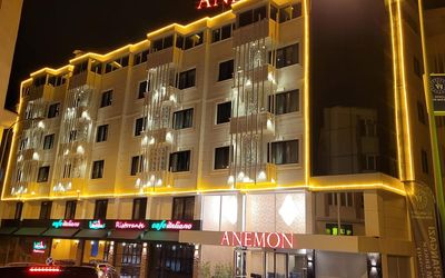 Anemon Usak Otel · 3