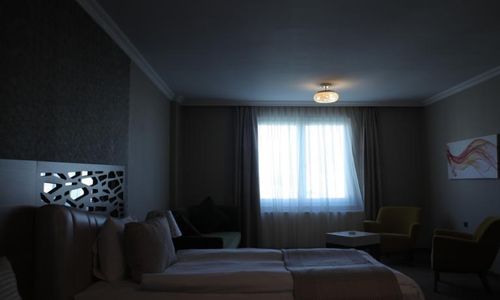 turkiye/van/merkez/royal-milano-hotel_6fec871c.jpg