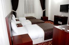 turkiye/van/van-merkez/hotel-sardur-459103786.jpg