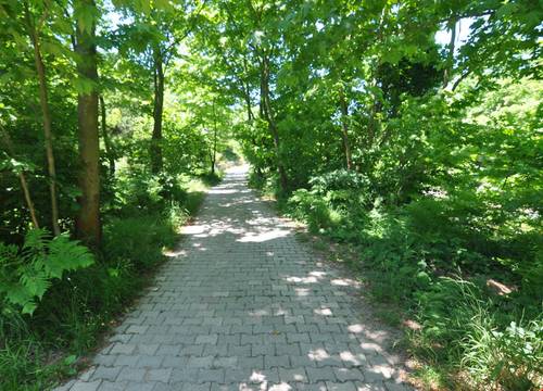 turkiye/yalova/altinova/bagdat-resort_a3b5b03c.jpg