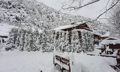turkiye/yalova/altinova/lagun-pool-village_c73698d5.jpg