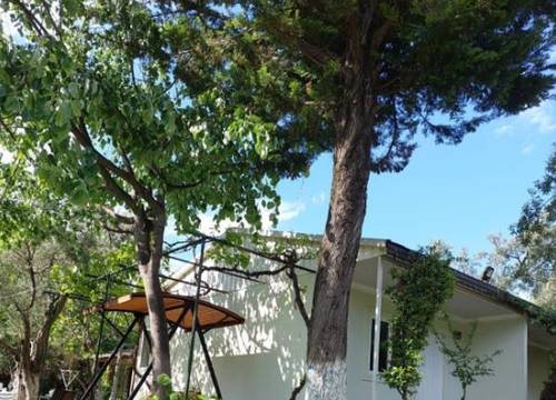 turkiye/yalova/armutlu/cicekevler-tatil-koyu_9d055c07.png