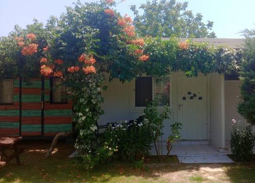 turkiye/yalova/armutlu/cicekevler-tatil-koyu_f22952c0.png