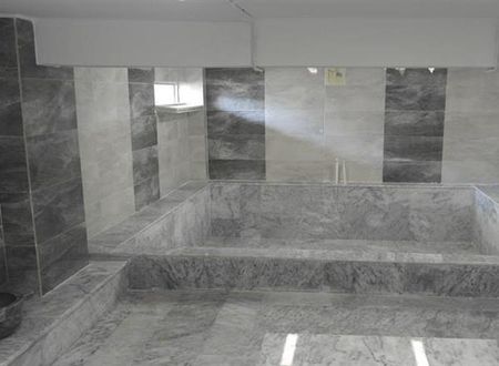 turkiye/yalova/armutlu/miray-termal-otel-784809915.png