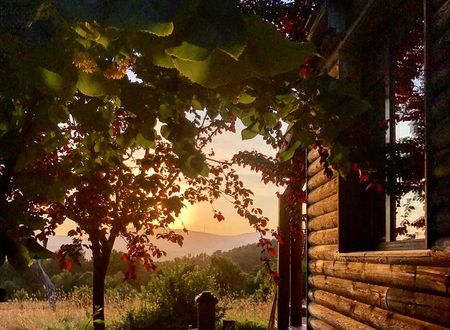turkiye/yalova/armutlu/sekoya-dag-evi_640e5407.jpg
