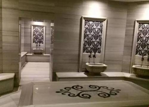 turkiye/yalova/armutlu/wish-termal-resort-spa_48b35c99.jpg