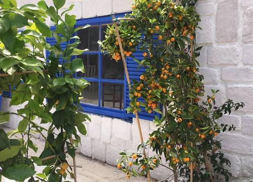 turkiye/yalova/cinarcik/anchor-luxury-hotel_649efbde.jpg