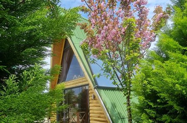 turkiye/yalova/cinarcik/el-mundo-bungalove_fe501719.jpg