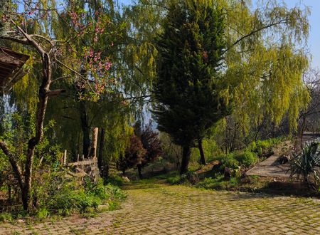 turkiye/yalova/cinarcik/img_20250329_093304fac0141e6ad44b73a609089991d3778a.jpg