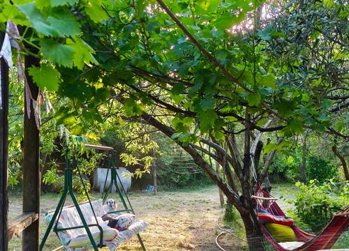 turkiye/yalova/cinarcik/img_20250530_185724f82b0fa9afa84d219d59471f9781618e.jpg
