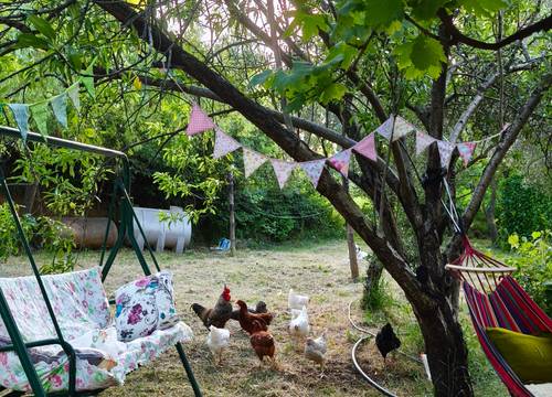 turkiye/yalova/cinarcik/img_20250530_1924354cce5dfd69004357b3f9fa742252a481.jpg
