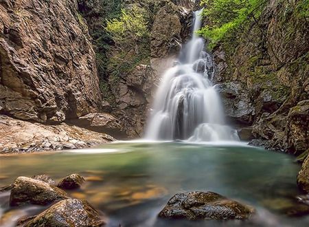 turkiye/yalova/cinarcik/kirkahvesi-garden-30bdb8b7.jpg