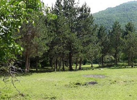turkiye/yalova/cinarcik/kirkahvesi-garden-6d95e4b5.jpg