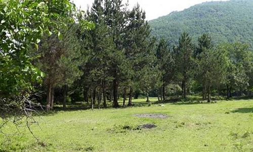 turkiye/yalova/cinarcik/kirkahvesi-garden-6d95e4b5.jpg