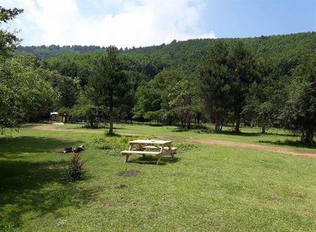 turkiye/yalova/cinarcik/kirkahvesi-garden-e331a09f.jpg