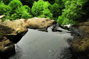 turkiye/yalova/cinarcik/kirkahvesi-garden_a96565af.jpg