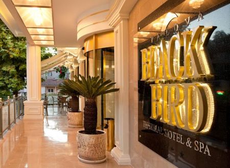 turkiye/yalova/termal/black-bird-thermal-hotel-432801.jpg