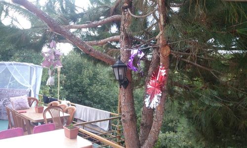 turkiye/yalova/termal/kaltur-boutique-hotel-villa-142110600.JPG