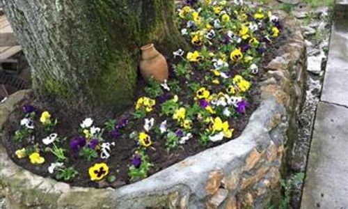 turkiye/yalova/termal/kaltur-boutique-hotel-villa-2028395658.jpg