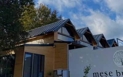 Meşe Bungalov · 3