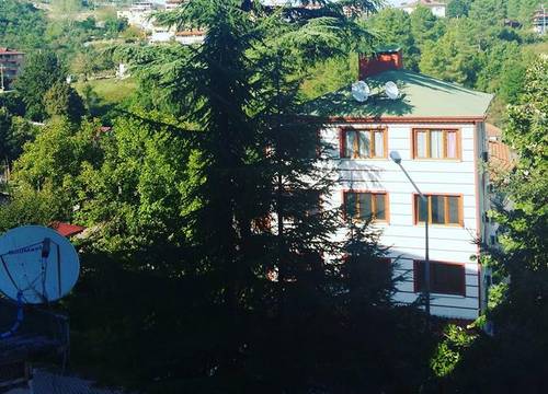 turkiye/yalova/termal/termal-orkide-motel_e551542b.jpg