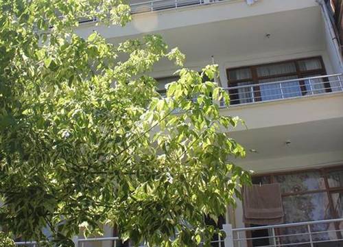 turkiye/yalova/termal/termal-orkide-motel_f9543e15.jpg