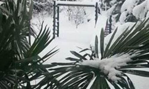turkiye/yalova/yalovamerkez/kaltur-boutique-hotel-villa-24d23fdf.jpg