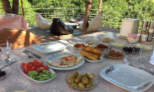turkiye/yalova/yalovamerkez/kaltur-boutique-hotel-villa-80d40f92.jpg