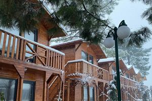 turkiye/zonguldak/caycuma/masal-bungalov_32219761.jpg
