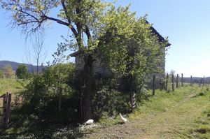 turkiye/zonguldak/devrek/yedigoller-aile-pansiyonu_202a9c64.jpg