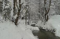 turkiye/zonguldak/devrek/yedigoller-aile-pansiyonu_63c4ed33.jpg