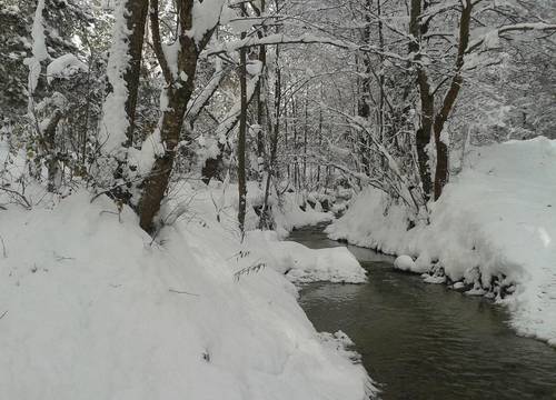 turkiye/zonguldak/devrek/yedigoller-aile-pansiyonu_63c4ed33.jpg