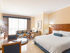 Guest Room - King Bed