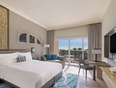 Guest Room - King Bed