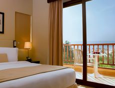 Garden View One Bedroom Villa