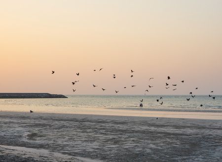 unitedarabemirates/resulhayme/thecoverotanaresorta68fae8e.jpg